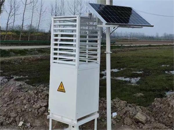 蟲情測報(bào)燈案例實(shí)拍